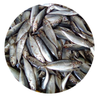 หน้าหลัก